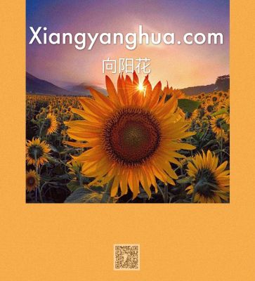 xiangyanghua.com