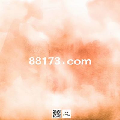 88173.com